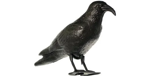 Seagull scare "crow"